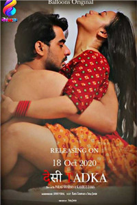 德西·塔德卡（Desi Tadka） 2020 S01E03 Hindi 